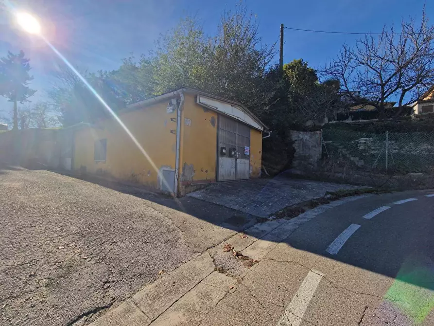 Immagine 30 di Attività artigianale in vendita  a Crespina Lorenzana