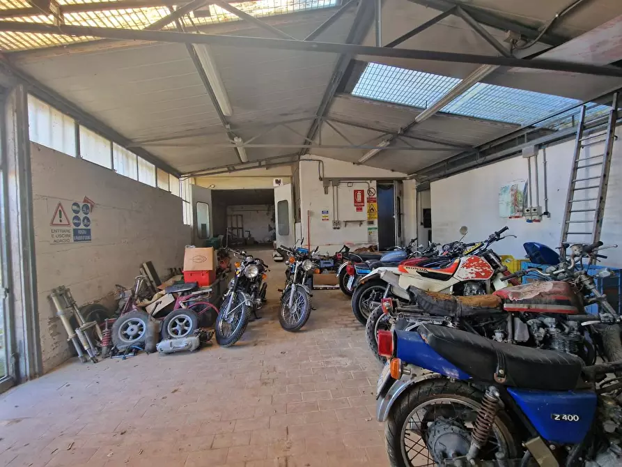 Immagine 24 di Attività artigianale in vendita  a Crespina Lorenzana