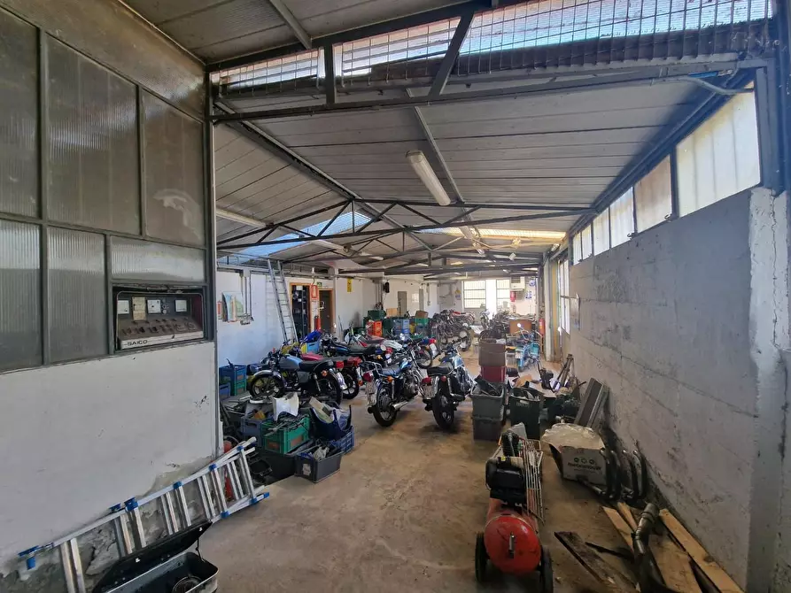 Immagine 9 di Attività artigianale in vendita  a Crespina Lorenzana