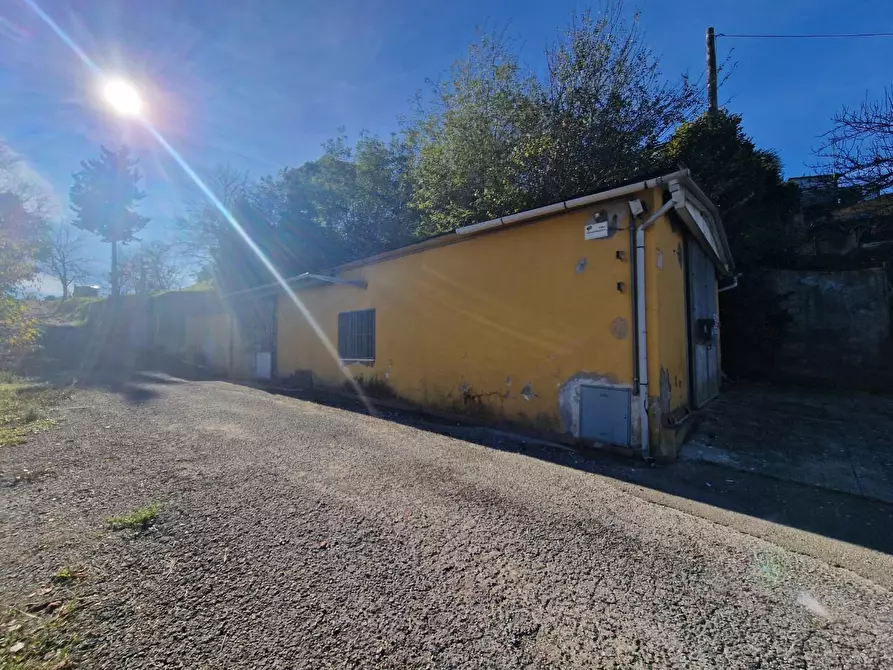 Immagine 26 di Attività artigianale in vendita  a Crespina Lorenzana