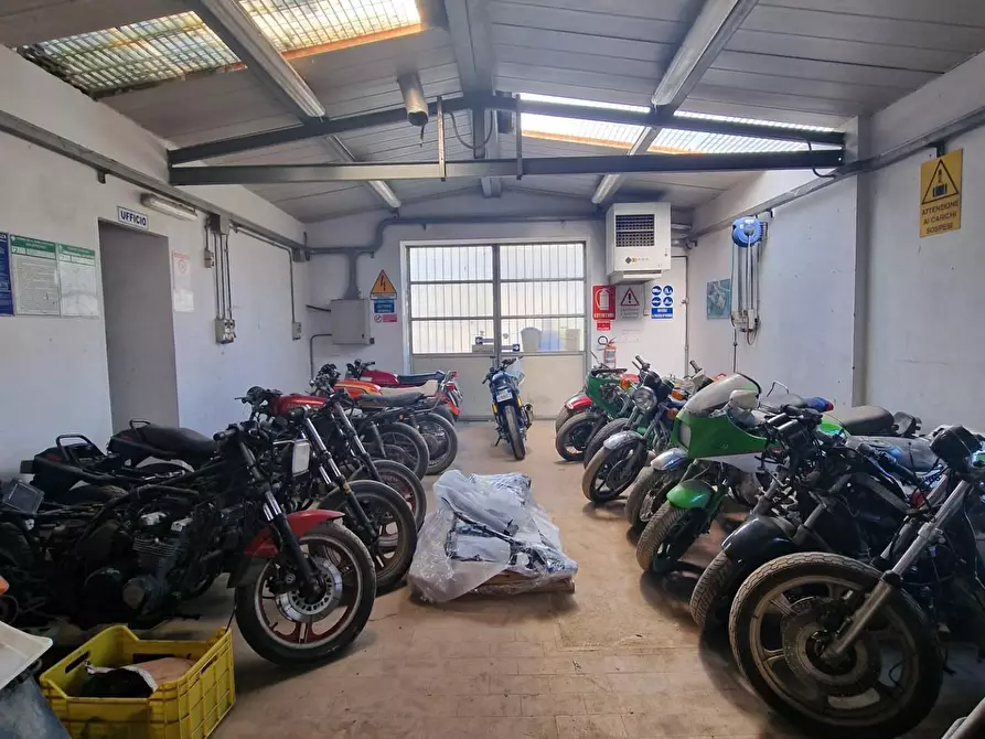 Immagine 14 di Attività artigianale in vendita  a Crespina Lorenzana