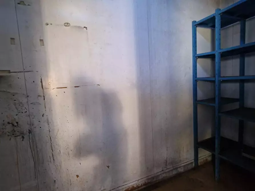 Immagine 19 di Attività artigianale in vendita  a Crespina Lorenzana