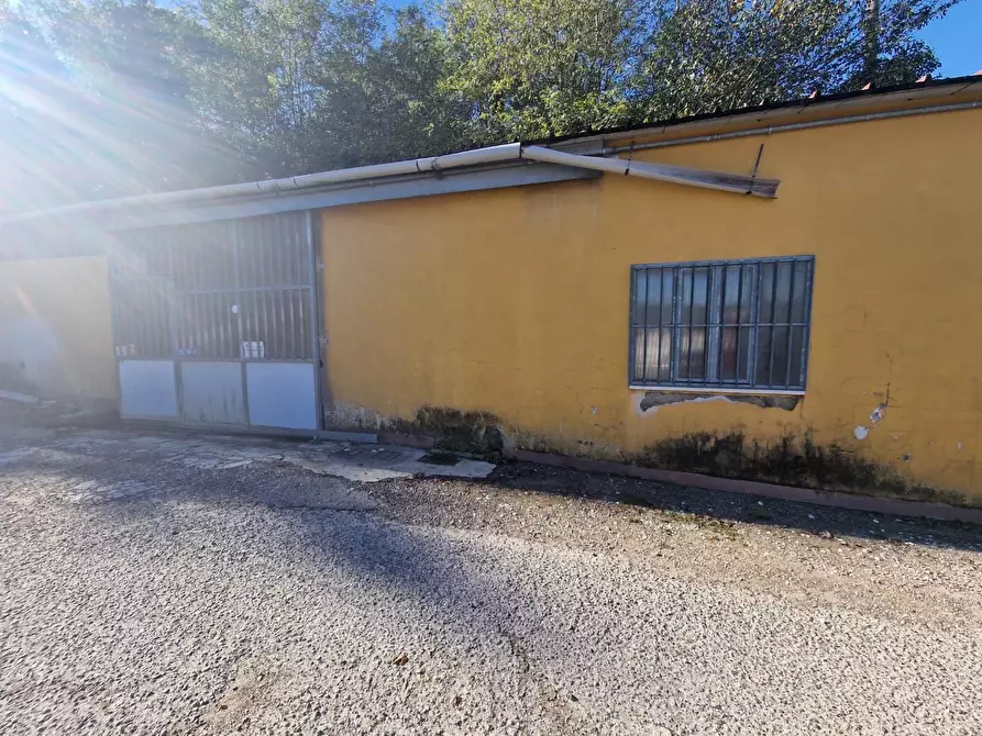 Immagine 3 di Attività artigianale in vendita  a Crespina Lorenzana