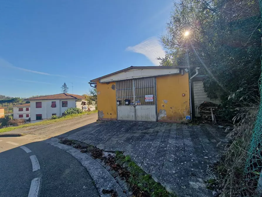 Immagine 29 di Attività artigianale in vendita  a Crespina Lorenzana