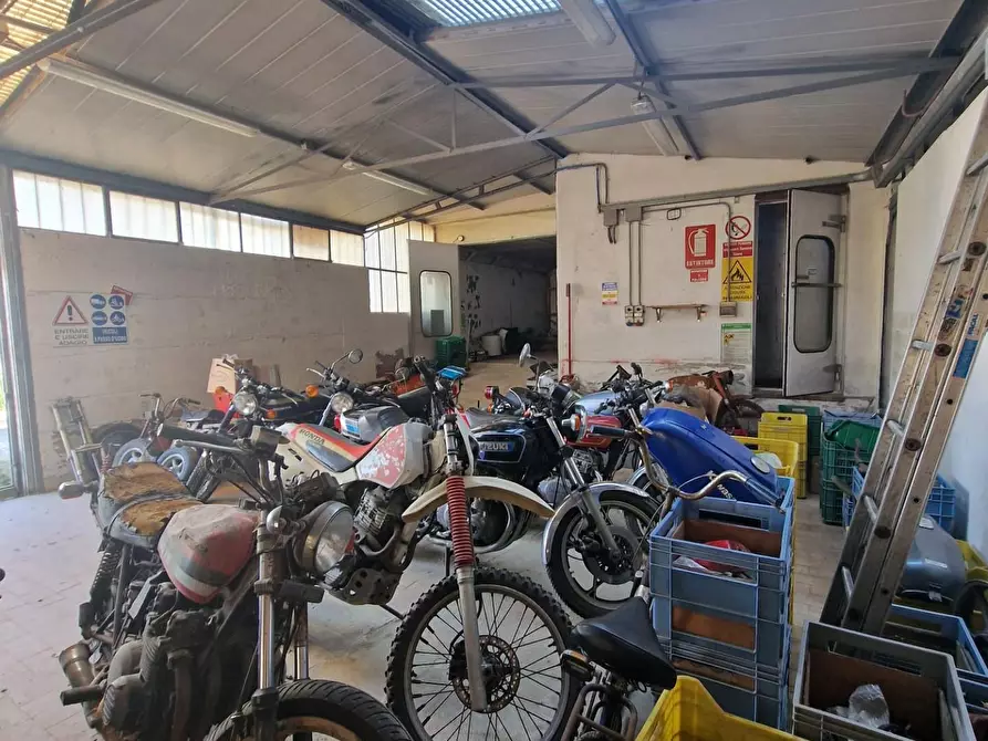 Immagine 10 di Attività artigianale in vendita  a Crespina Lorenzana