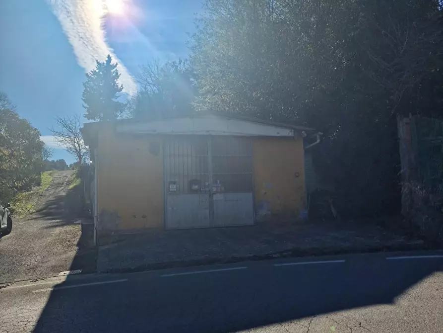 Immagine 31 di Attività artigianale in vendita  a Crespina Lorenzana