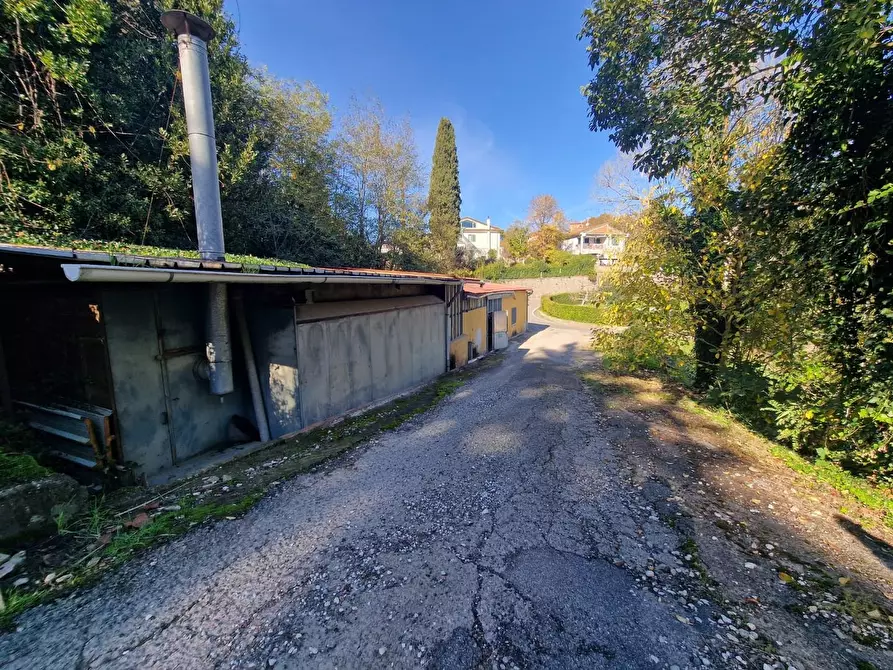 Immagine 5 di Attività artigianale in vendita  a Crespina Lorenzana