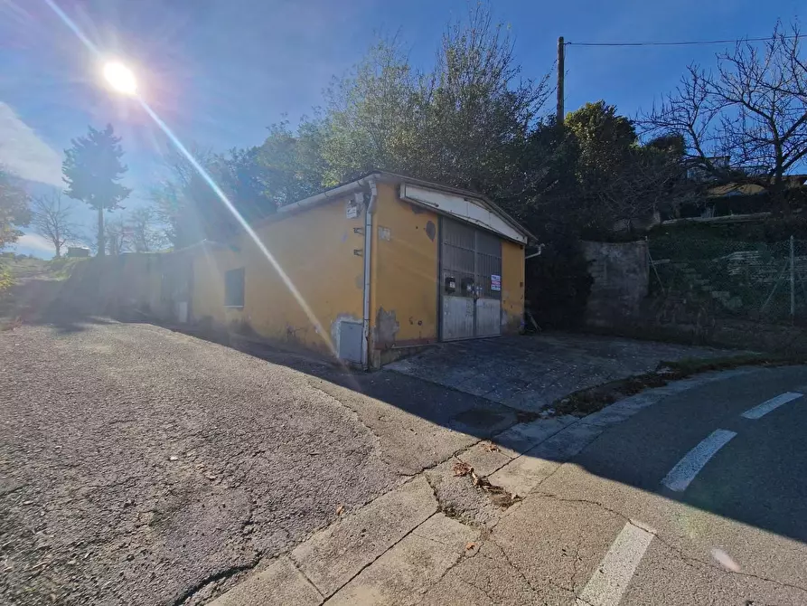 Immagine 28 di Attività artigianale in vendita  a Crespina Lorenzana