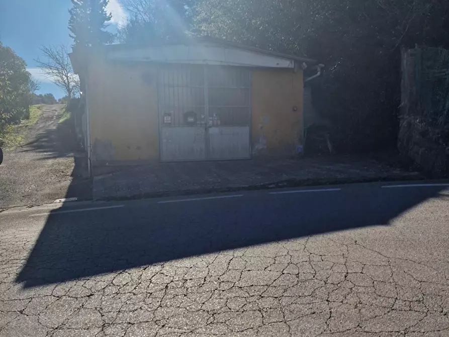 Immagine 33 di Attività artigianale in vendita  a Crespina Lorenzana