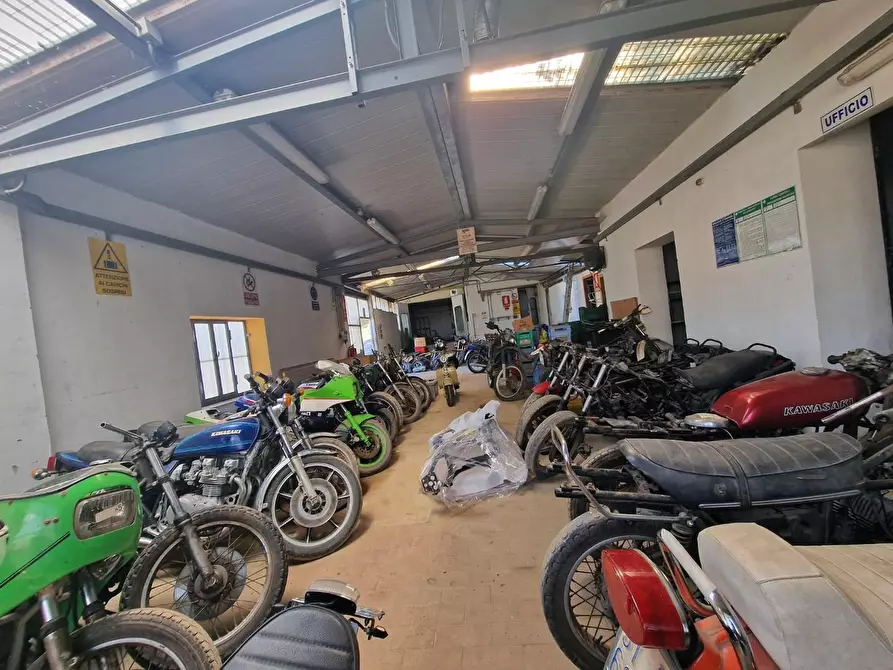 Immagine 11 di Attività artigianale in vendita  a Crespina Lorenzana