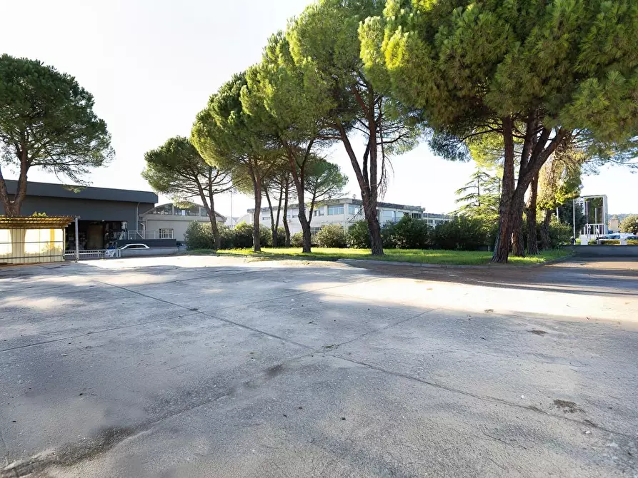 Immagine 18 di Capannone industriale in vendita  a Santa Croce Sull'arno