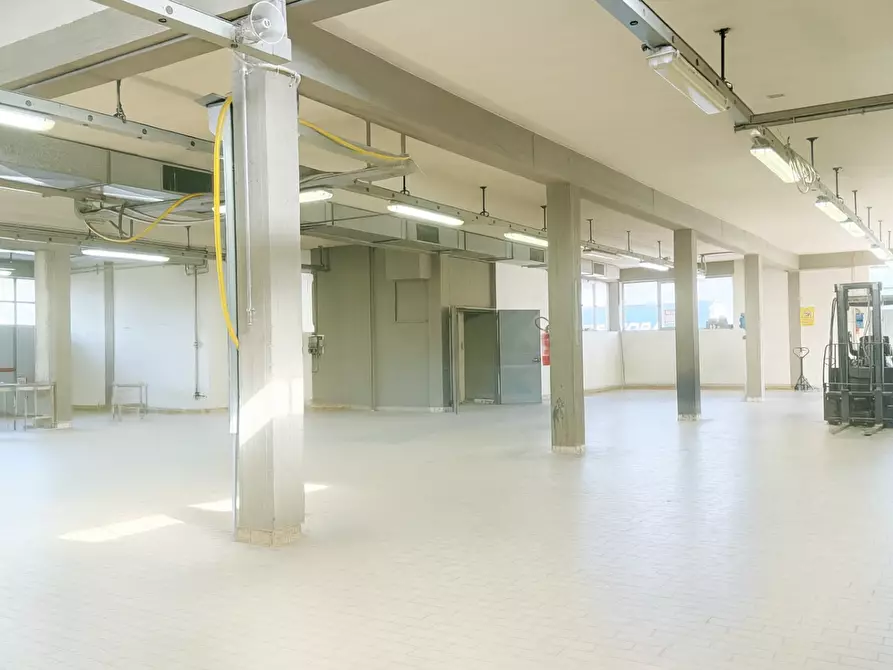 Immagine 24 di Capannone industriale in vendita  a Santa Croce Sull'arno