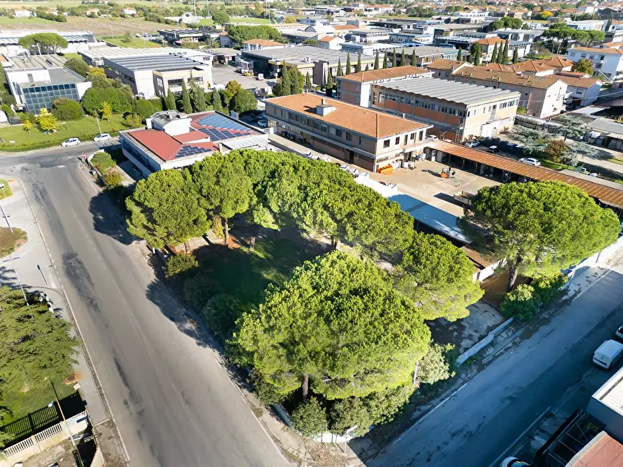 Immagine 6 di Capannone industriale in vendita  a Santa Croce Sull'arno