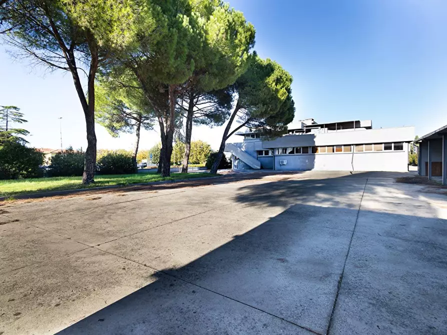 Immagine 17 di Capannone industriale in vendita  a Santa Croce Sull'arno