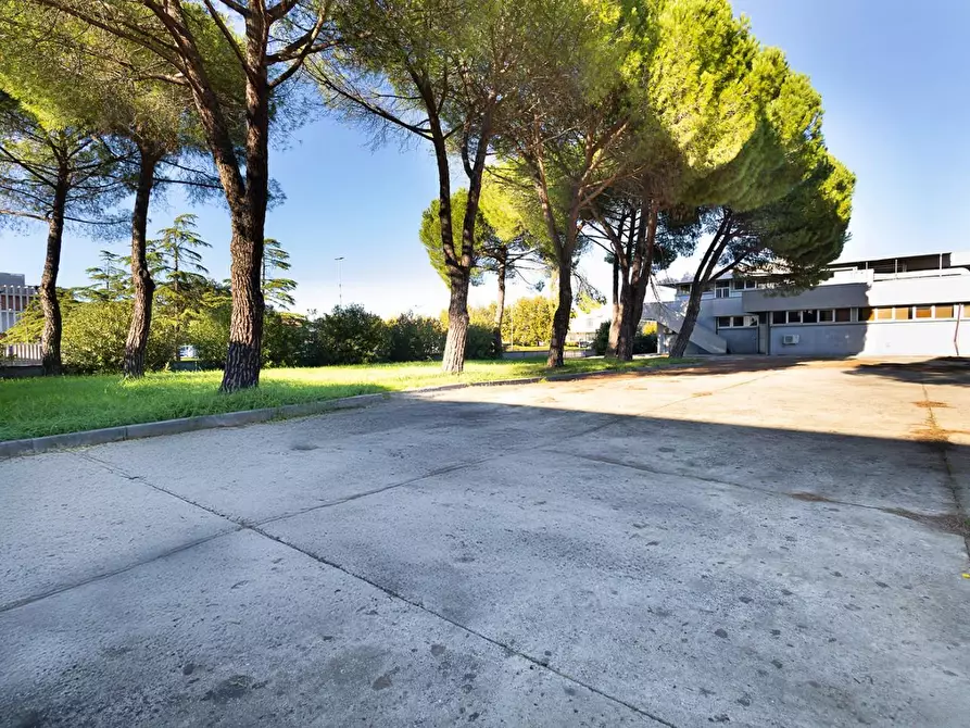 Immagine 20 di Capannone industriale in vendita  a Santa Croce Sull'arno