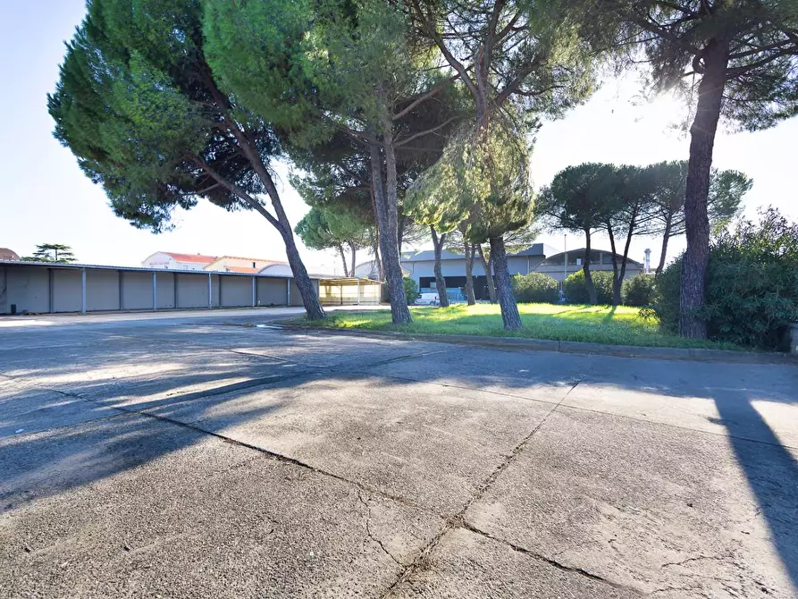 Immagine 16 di Capannone industriale in vendita  a Santa Croce Sull'arno