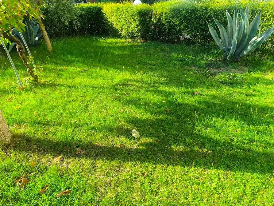 Immagine 4 di Villa in vendita  a Sinalunga