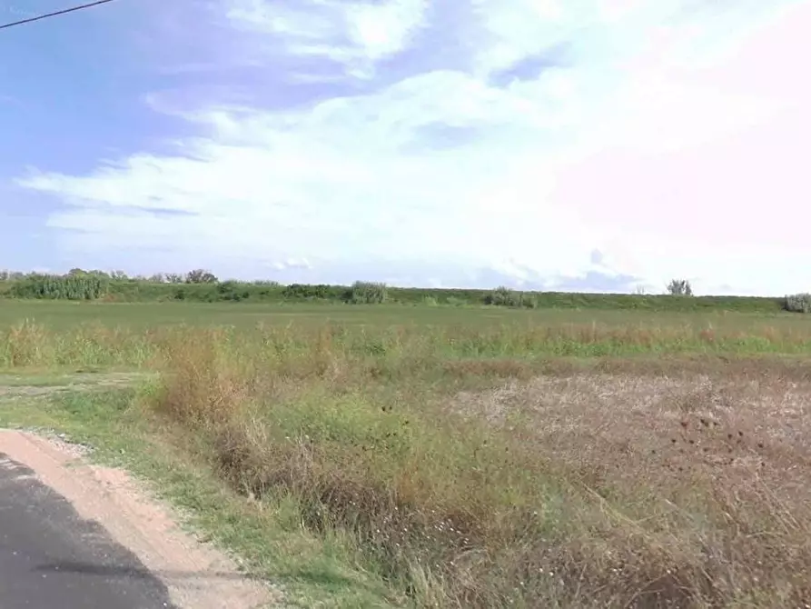 Immagine 7 di Terreno agricolo in vendita  a Castiglione Della Pescaia