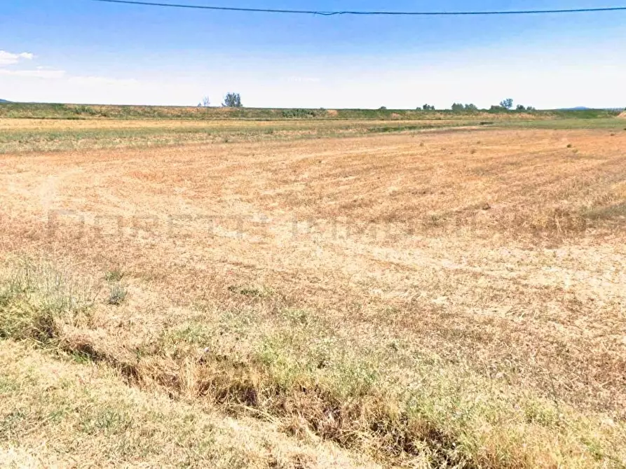 Immagine 4 di Terreno agricolo in vendita  a Castiglione Della Pescaia