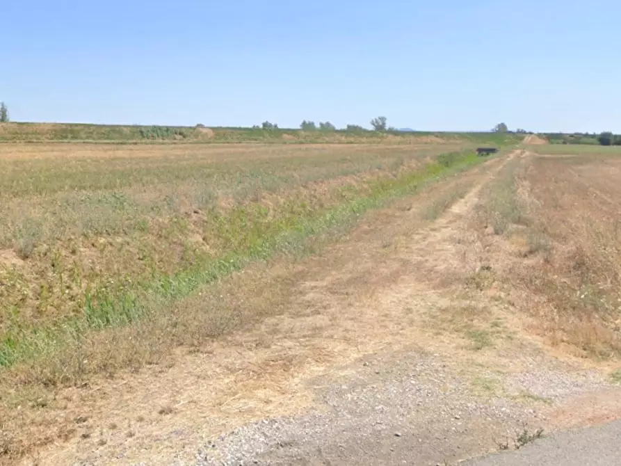 Immagine 5 di Terreno agricolo in vendita  a Castiglione Della Pescaia