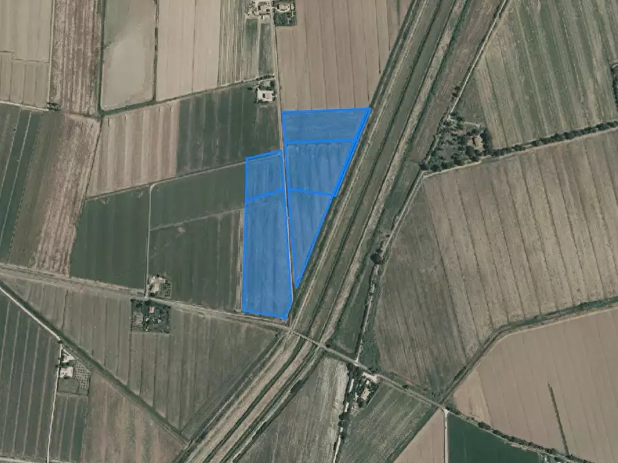 Immagine 3 di Terreno agricolo in vendita  a Castiglione Della Pescaia