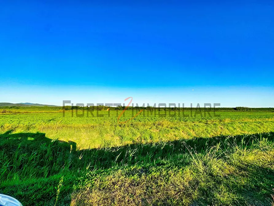 Immagine 2 di Terreno agricolo in vendita  a Castiglione Della Pescaia