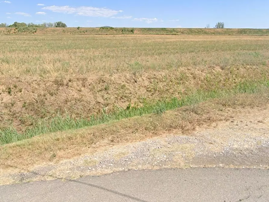 Immagine 6 di Terreno agricolo in vendita  a Castiglione Della Pescaia
