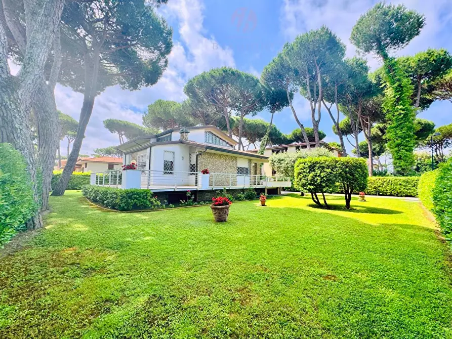 Immagine 3 di Villa in vendita  a Camaiore