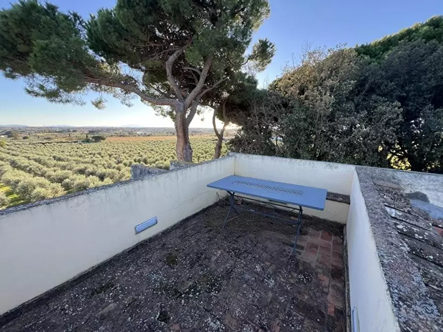 Immagine 3 di Villa in vendita  a Cecina