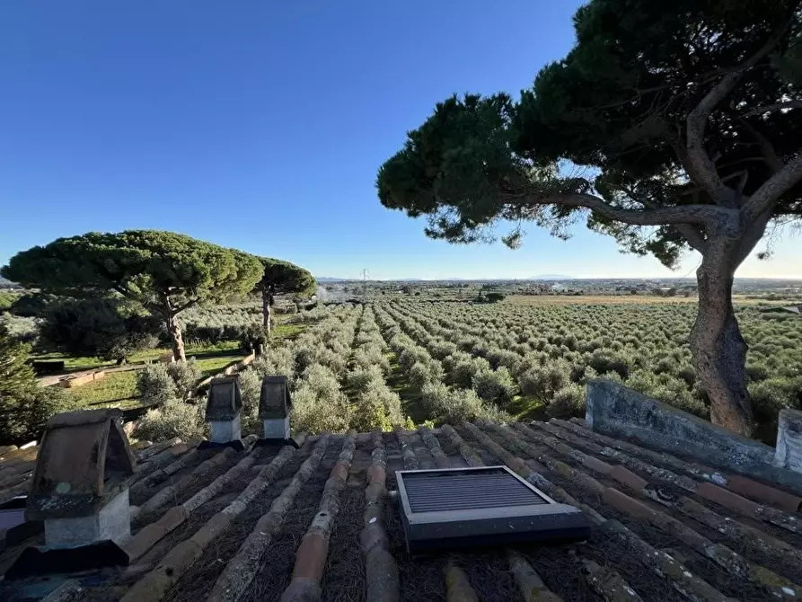 Immagine 4 di Villa in vendita  a Cecina