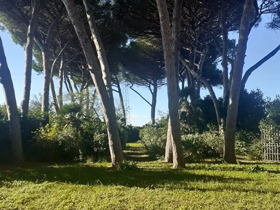 Immagine 10 di Villa in vendita  a Cecina