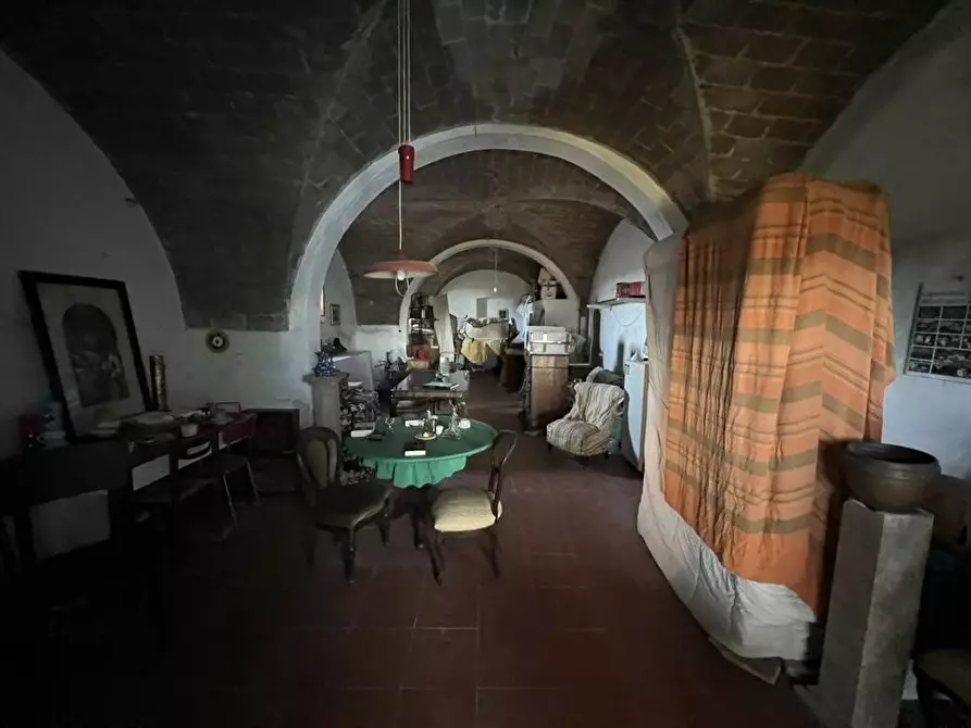 Immagine 46 di Villa in vendita  a Cecina