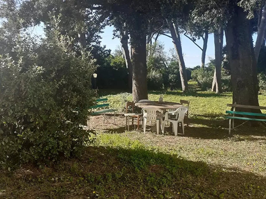 Immagine 37 di Villa in vendita  a Cecina