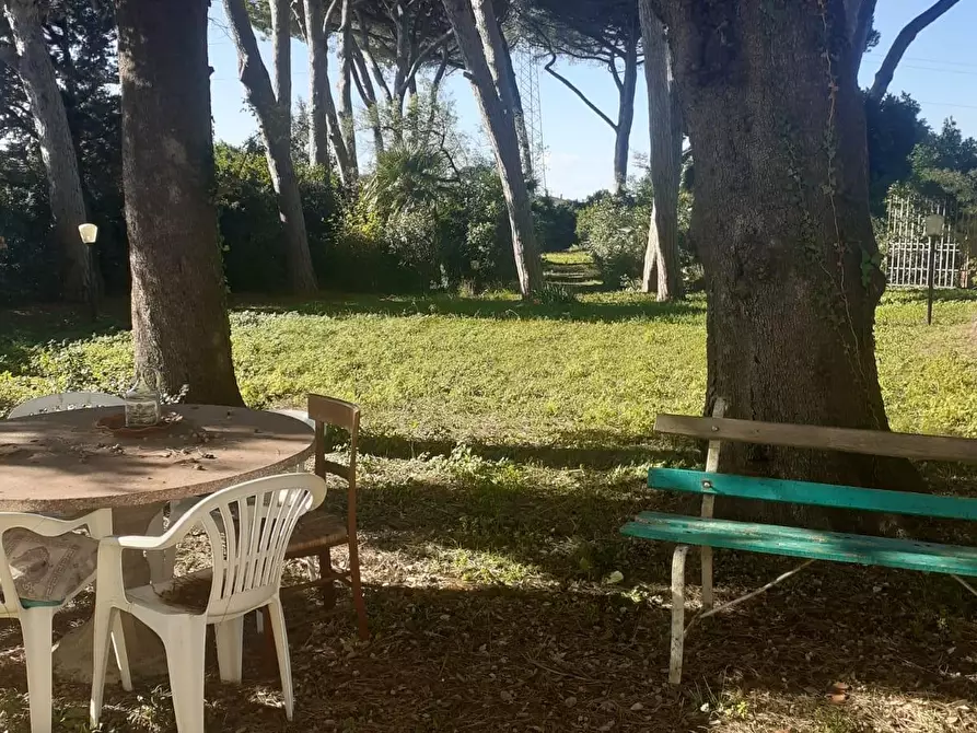 Immagine 38 di Villa in vendita  a Cecina