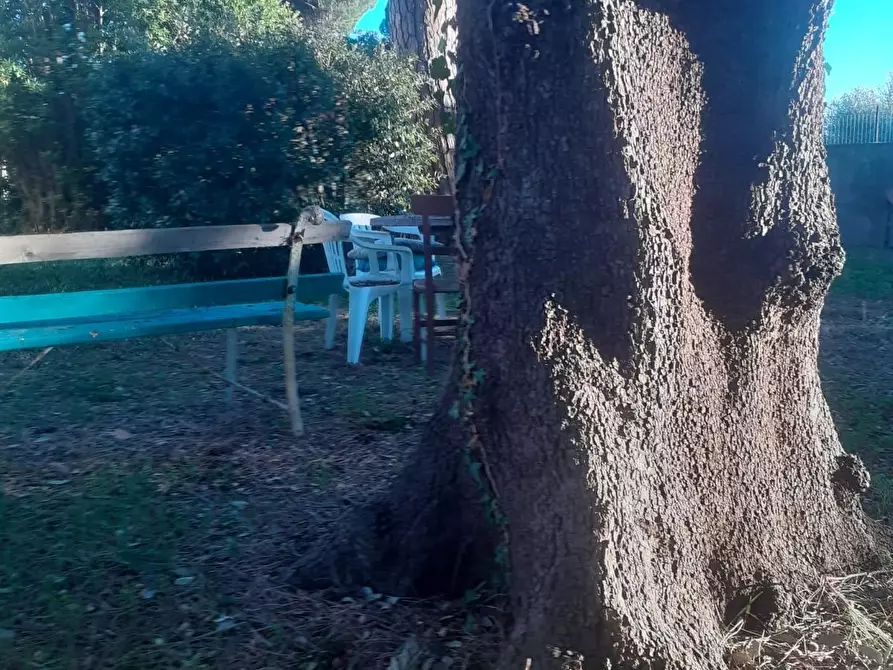 Immagine 35 di Villa in vendita  a Cecina