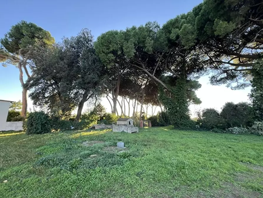 Immagine 33 di Villa in vendita  a Cecina