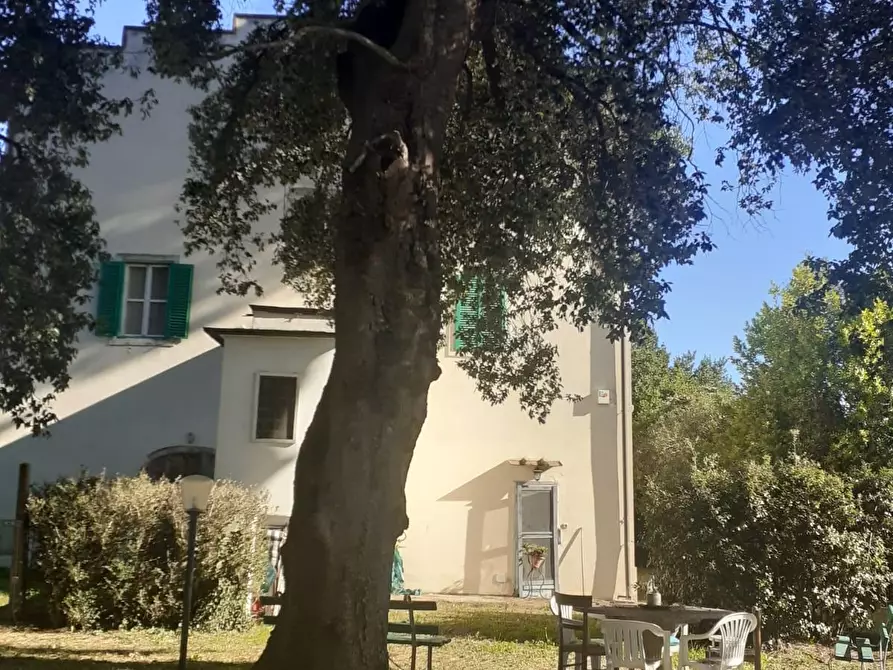 Immagine 8 di Villa in vendita  a Cecina
