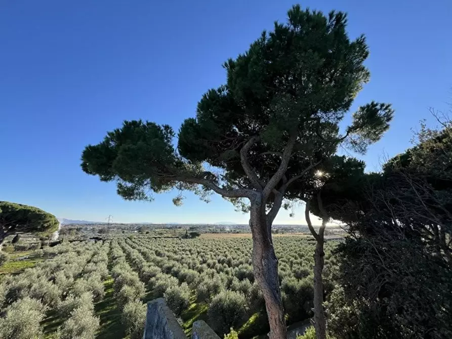 Immagine 32 di Villa in vendita  a Cecina