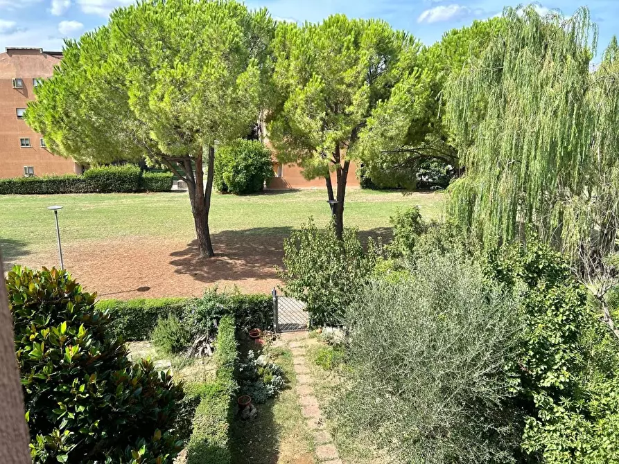 Immagine 12 di Villetta a schiera in vendita  a Grosseto