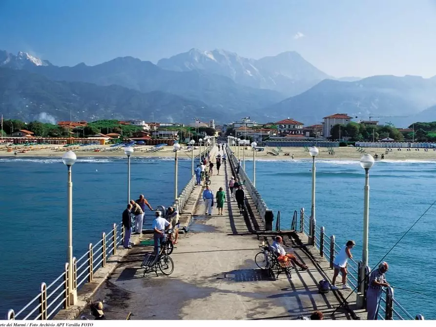 Immagine 18 di Villa in vendita  a Forte Dei Marmi