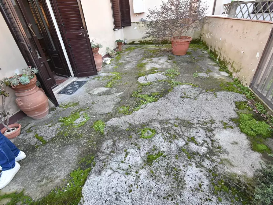 Immagine 27 di Terratetto in vendita  a San Giuliano Terme