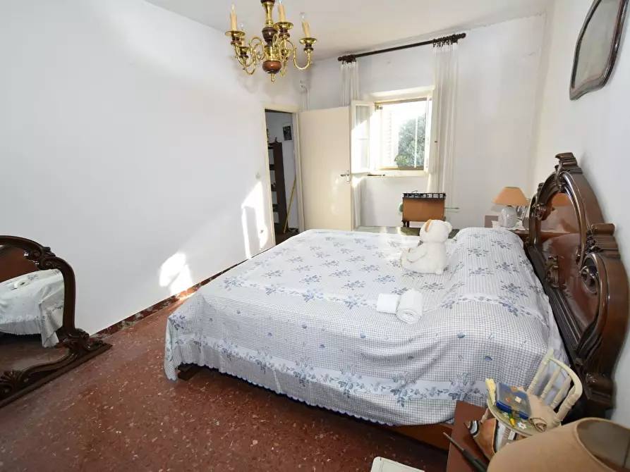 Immagine 19 di Terratetto in vendita  a San Giuliano Terme