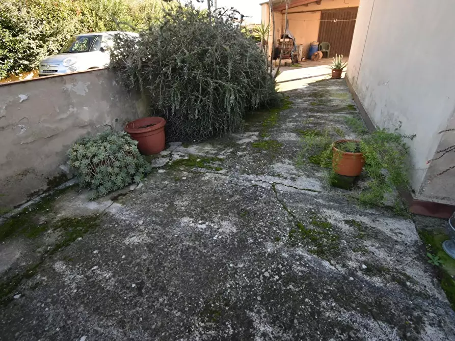 Immagine 28 di Terratetto in vendita  a San Giuliano Terme