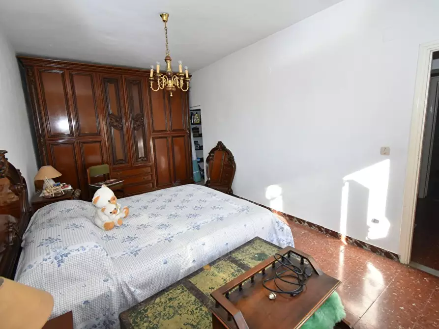 Immagine 17 di Terratetto in vendita  a San Giuliano Terme