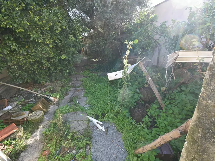 Immagine 36 di Terratetto in vendita  a San Giuliano Terme