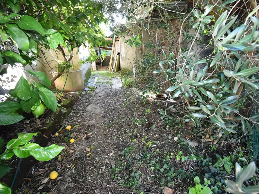 Immagine 35 di Terratetto in vendita  a San Giuliano Terme