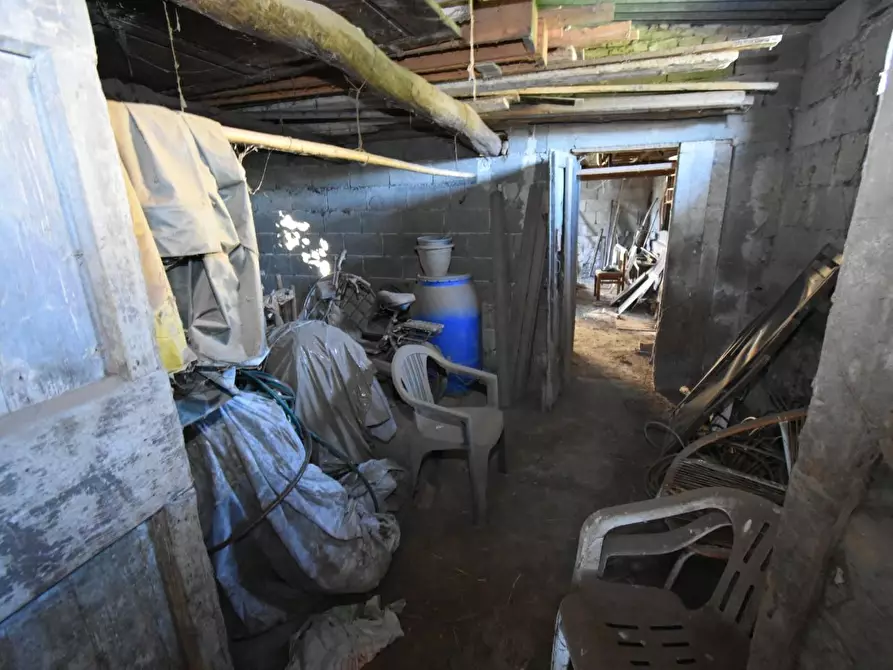 Immagine 34 di Terratetto in vendita  a San Giuliano Terme