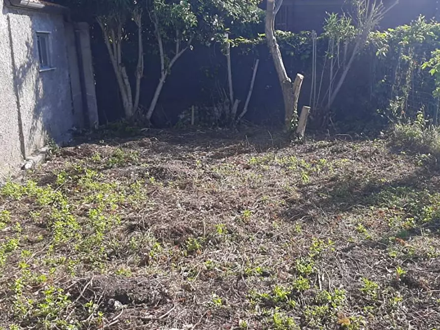 Immagine 7 di Terratetto in affitto  a Cascina