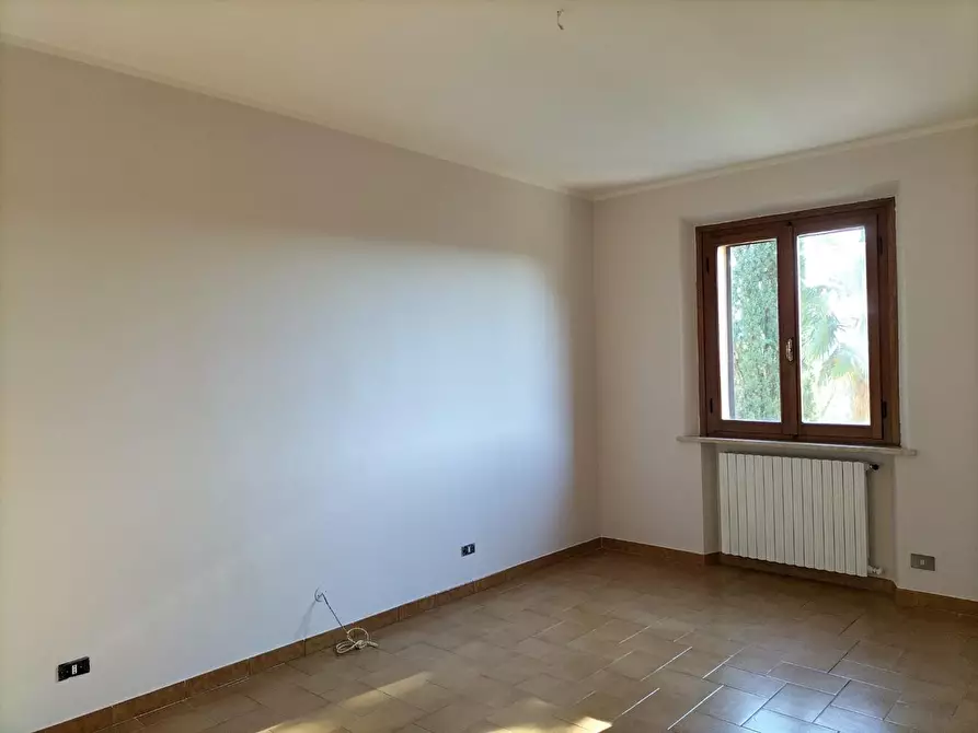 Immagine 5 di Appartamento in vendita  a Terricciola