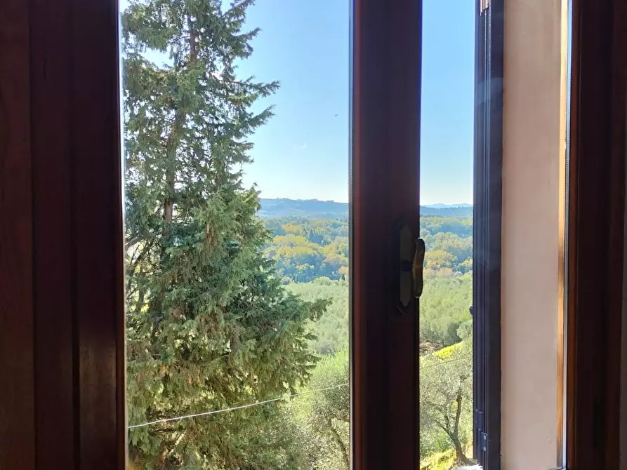 Immagine 11 di Appartamento in vendita  a Terricciola